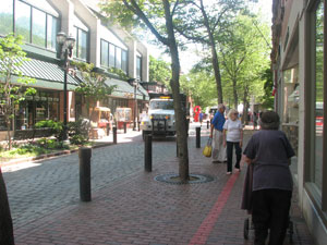 The Essex Street Pedestrian Mall